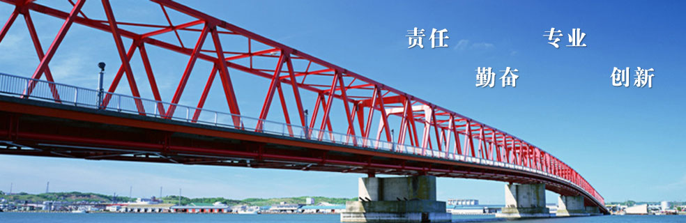 廣毅榮冷拉鋼 專業(yè)制造